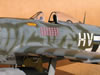 Hasegawa 1/32 P-47D Gabreski by Tolga Ulgur: Image