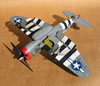 Hasegawa 1/32 P-47D Gabreski by Tolga Ulgur: Image