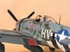 Hasegawa 1/32 P-47D Gabreski by Tolga Ulgur: Image