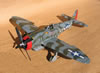 Hasegawa 1/32 P-47D Gabreski by Tolga Ulgur: Image