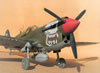 Hasegawa 1/32 P-40N-5 Warhawk by Tolga Ulgur: Image