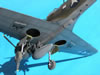 Hasegawa 1/32 P-40N-5 Warhawk by Tolga Ulgur: Image