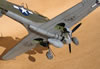 Hasegawa 1/32 P-40N-5 Warhawk by Tolga Ulgur: Image