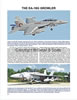 F/A-18E & F/A-18F Super Hornet in Detail and Scale Book Review by Floyd S. Werner Jr.: Image