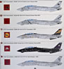 AMK 1/48 F-14D Review by John Miller: Image