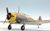 Special Hobby 1/48 CAC CA-9 Wirraway by Roland Sachsenhofer: Image