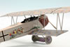 Eduard 1/48 Fokker D.VII by Roland Sachsenhofer: Image