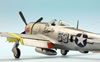 Tamiya 1/48 P-47D Thunderbolt Bubbletop by Roland Sachsenhofer: Image