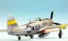 Tamiya 1/48 P-47D Thunderbolt Bubbletop by Roland Sachsenhofer: Image