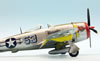 Tamiya 1/48 P-47D Thunderbolt Bubbletop by Roland Sachsenhofer: Image