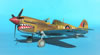 Hasegawa 1/32 P-40M Kittyhwk Mk.III by Tolga Ulgur: Image