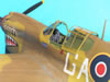 Hasegawa 1/32 P-40M Kittyhwk Mk.III by Tolga Ulgur: Image