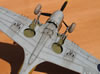 Hasegawa 1/32 P-40M Kittyhwk Mk.III by Tolga Ulgur: Image