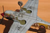 Hasegawa 1/32 P-40M Kittyhwk Mk.III by Tolga Ulgur: Image