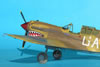 Hasegawa 1/32 P-40M Kittyhwk Mk.III by Tolga Ulgur: Image