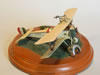 Eduard 1/48 Nieuport 11 by Valter Vaudagna: Image