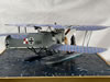 Wingnut Wings 1/32 Hansa-Brandenburg W.12 by David Kimbrell: Image