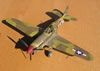 Hasegawa + Grey Matter 1/32 P-40L Warhawk by Tolga Ulgur: Image