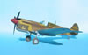 Hasegawa + Grey Matter 1/32 P-40L Warhawk by Tolga Ulgur: Image