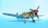 Hasegawa + Grey Matter 1/32 P-40L Warhawk by Tolga Ulgur: Image