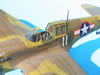 Hasegawa + Grey Matter 1/32 P-40L Warhawk by Tolga Ulgur: Image