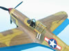 Hasegawa + Grey Matter 1/32 P-40L Warhawk by Tolga Ulgur: Image