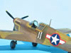 Hasegawa + Grey Matter 1/32 P-40L Warhawk by Tolga Ulgur: Image