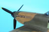 Hasegawa 1/32 Spitfire Mk.IIa by Tolga Ulgur: Image