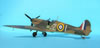 Hasegawa 1/32 Spitfire Mk.IIa by Tolga Ulgur: Image