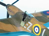 Hasegawa 1/32 Spitfire Mk.IIa by Tolga Ulgur: Image