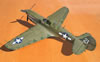 Hasegawa 1/32 P-40N Warhawk by Tolga Ulgur: Image