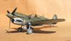 Hasegawa 1/32 P-40N Warhawk by Tolga Ulgur: Image