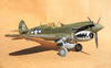 Hasegawa 1/32 P-40N Warhawk by Tolga Ulgur: Image