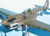 Hasegawa 1/32 P-40N Warhawk by Tolga Ulgur: Image