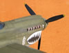 Hasegawa 1/32 P-40N Warhawk by Tolga Ulgur: Image