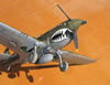 Hasegawa 1/32 P-40N Warhawk by Tolga Ulgur: Image