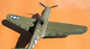 Hasegawa 1/32 P-40N Warhawk by Tolga Ulgur: Image