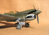 Hasegawa 1/32 P-40N Warhawk by Tolga Ulgur: Image