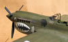 Hasegawa 1/32 P-40N Warhawk by Tolga Ulgur: Image