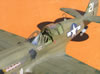 Hasegawa 1/32 P-40N Warhawk by Tolga Ulgur: Image