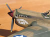 Hasegawa 1/32 P-40E Warhawk by Tolga Ulgur: Image