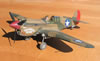 Hasegawa 1/32 P-40E Warhawk by Tolga Ulgur: Image