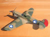 Hasegawa 1/32 P-40E Warhawk by Tolga Ulgur: Image