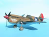 Hasegawa 1/32 P-40E Warhawk by Tolga Ulgur: Image