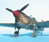 Hasegawa 1/32 P-40E Warhawk by Tolga Ulgur: Image