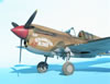 Hasegawa 1/32 P-40E Warhawk by Tolga Ulgur: Image