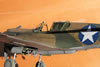 Hasegawa 1/32 P-40E Warhawk by Tolga Ulgur: Image