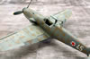 Eduard 1/48 Bf 109 G-10- Trieste Crisis by Roland Sachsenhofer: Image