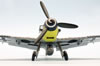 Eduard 1/48 Bf 109 G-6 JG 302 by Roland Sachsenhofer: Image