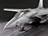 F-14A Tomcat: Image